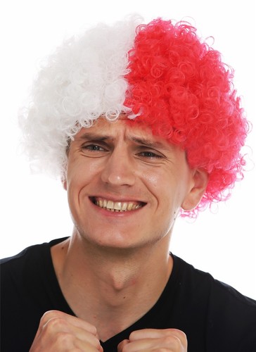 Parrucca carnevale afro - parrucca,