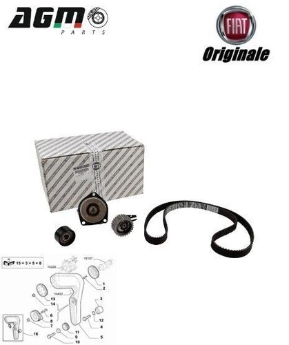 Kit distribuzione pompa - distribuzione,