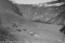 69 LYON ADRESSE DE MLLE PAULA