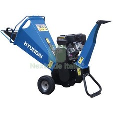 1PZ CIPPATORE A SCOPPIO 35910
