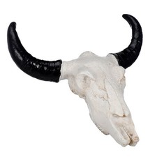 Skull Teschio Di Mucca