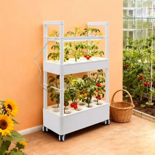 Cialde sistema di - 28,