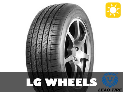 215 55r18 99v - 99v, leao