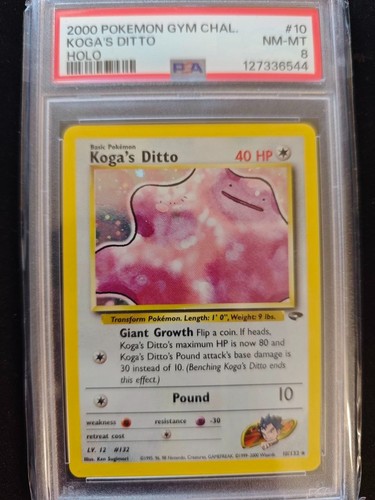 Koga ditto psa eng - |, |