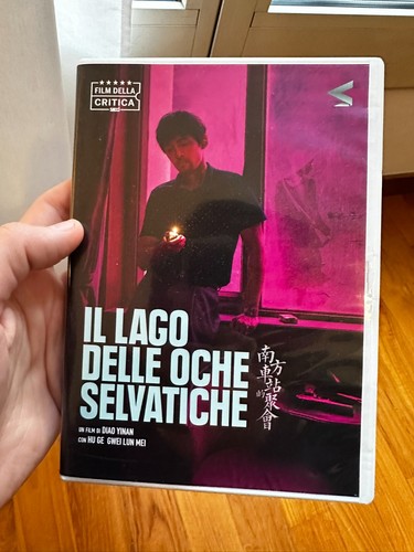 Lago delle oche selvatiche - oche,