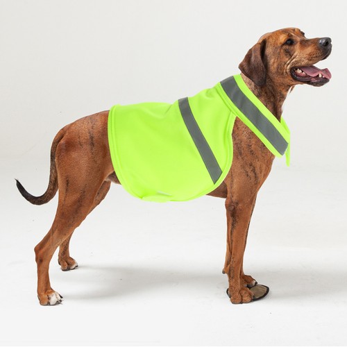 Gilet alta visibilita - gilet,