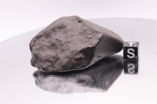 NWA XXX meteorite 128,4 grammi