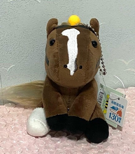 Soccer boy idol horse - soccer, hakodate