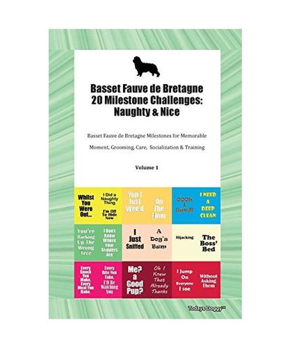 Basset fauve bretagne 20 - basset, de