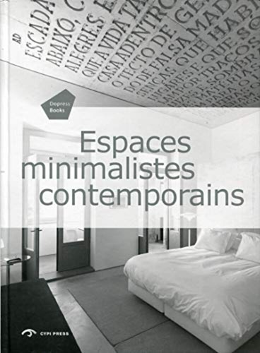 Spazi minimalisti moderno - spazi,