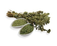 Bustina semi di Origano Italiano - SEMENTI ORTAGGI PROFESSIONAL Garantito