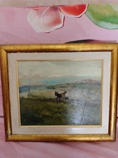 Gaetano Bocchetti, delizioso