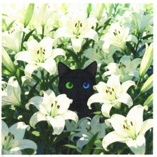 Serviettes en papier chat