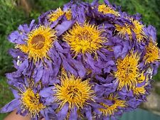 Tisana biologica secca di loto