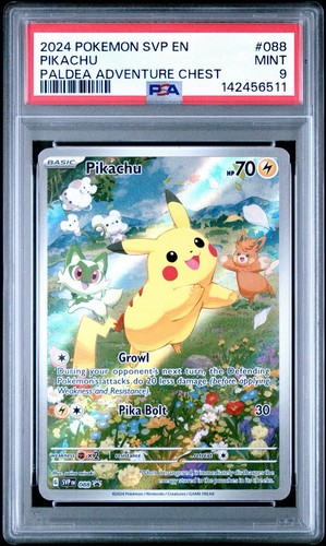 2024 pokemon svp - en-sv, bsp