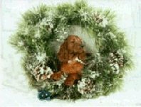 Cartoline natale setter - di,