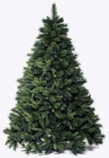 ALBERO DI NATALE