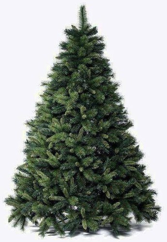 Albero natale - albero, di