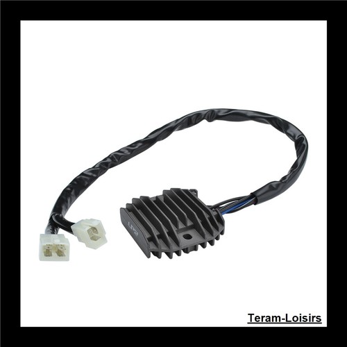 Regolatore per kawasaki ninja - regolatore,