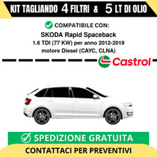 Tagliando per SKODA Rapid