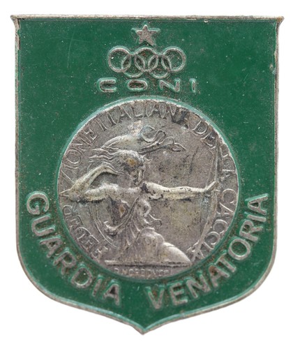 Placca omerale smaltata - placca,
