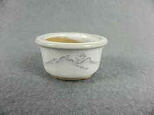 Piccolo Vaso per Piante Bonsai