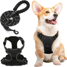 Pettorina per Cani, Pettorina Antifuga Cane, Imbracatura per Cani, Gilet Addestr