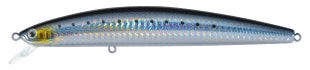 Daiwa salt pro - sp, minnows