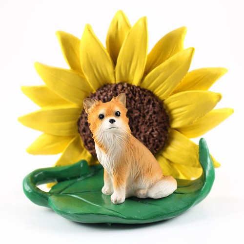 Statuina girasole chihuahua - girasole,