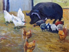 maiale e pollo scrofa