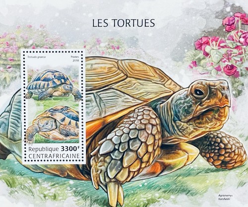 Central africa turtles - turtles, stamps