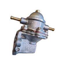 Pompa 500 Giardiniera 