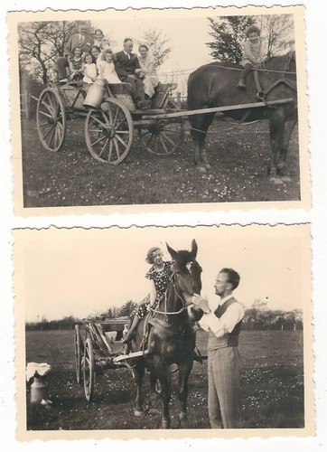 660 foto famiglie - foto,