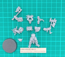 Blood Warriors Champion A