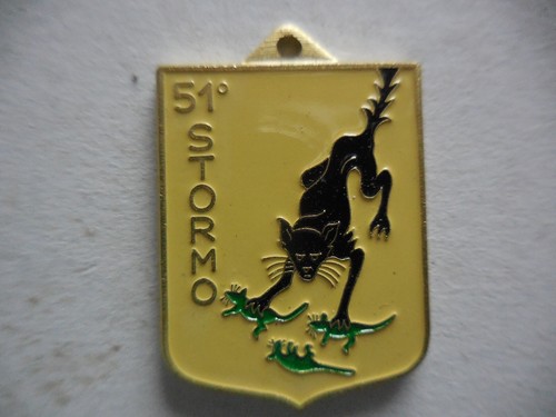 Medaglia stormo aeronautica - 51,
