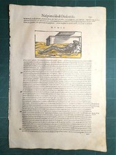 MATTIOLI MATTHIOLI Erbario a