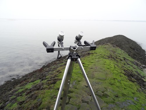 Testa treppiede pesca mare con - testa,