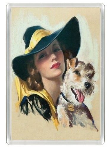 Wire fox terrier elegant lady - wire,
