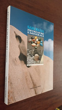 78 A. F. FADDA - SARDEGNA PIETRE DURE E MINERALI 1989 COEDISAR CVAD