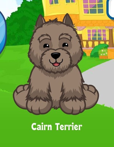 Webkinz classic cairn - classic,