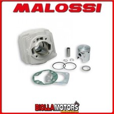 313013 CILINDRO MALOSSI D.45,5