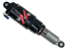 Ammortizzatore posteriore