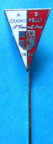 Distintivo spilla pin - distintivo,