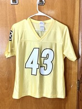 NFL Pittsburgh Steelers Troy