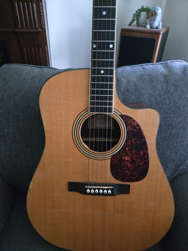 Larrivee acoustic electric - larrivee,