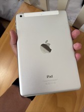 CUSTODIA POSTERIORE 100%