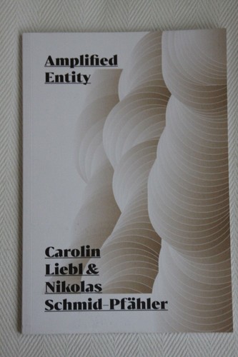 Amplified entity carolin - amplified,