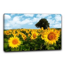 Niik Quadro campo di girasoli