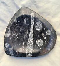 Svuotatasche/portasapone/portaoggetti  in pietra fossile (Orthoceras)