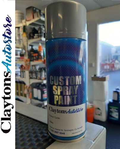 Vernice spray aerosol per - vernice,